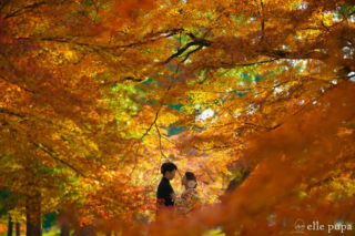 京都の紅葉前撮り/フォトウェディングのおすすめロケーション案内