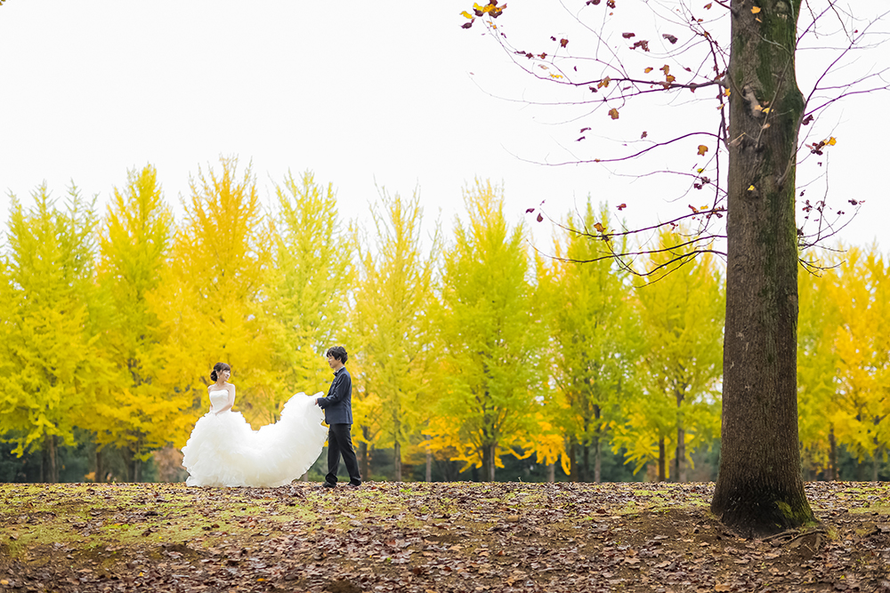 茨城・科学万博記念公園の前撮り/フォトウェディングのロケーション撮影 | どこまでも続く銀杏並木をバックに。
