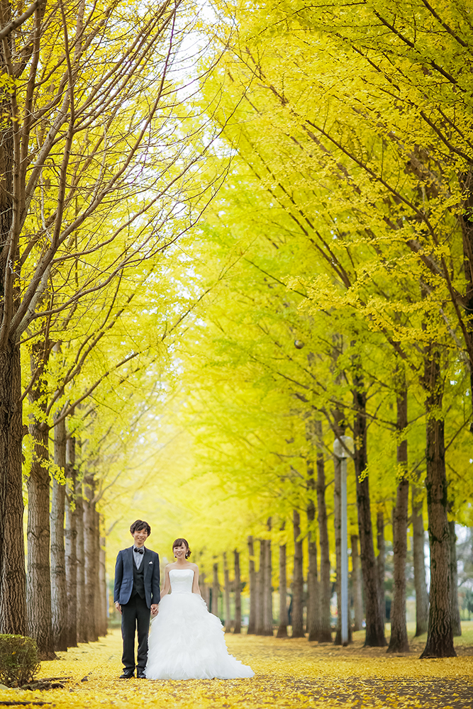 茨城・科学万博記念公園の前撮り/フォトウェディングのロケーション撮影 | 銀杏並木と一緒に。