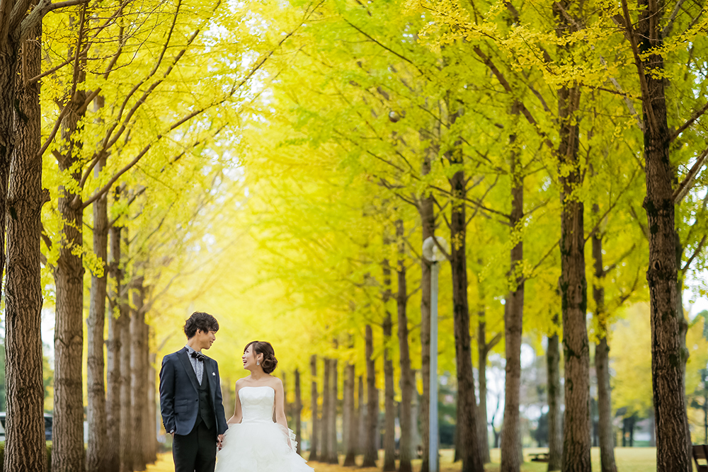 茨城・科学万博記念公園の前撮り/フォトウェディングのロケーション撮影 | どこまでも続く銀杏並木の中で。
