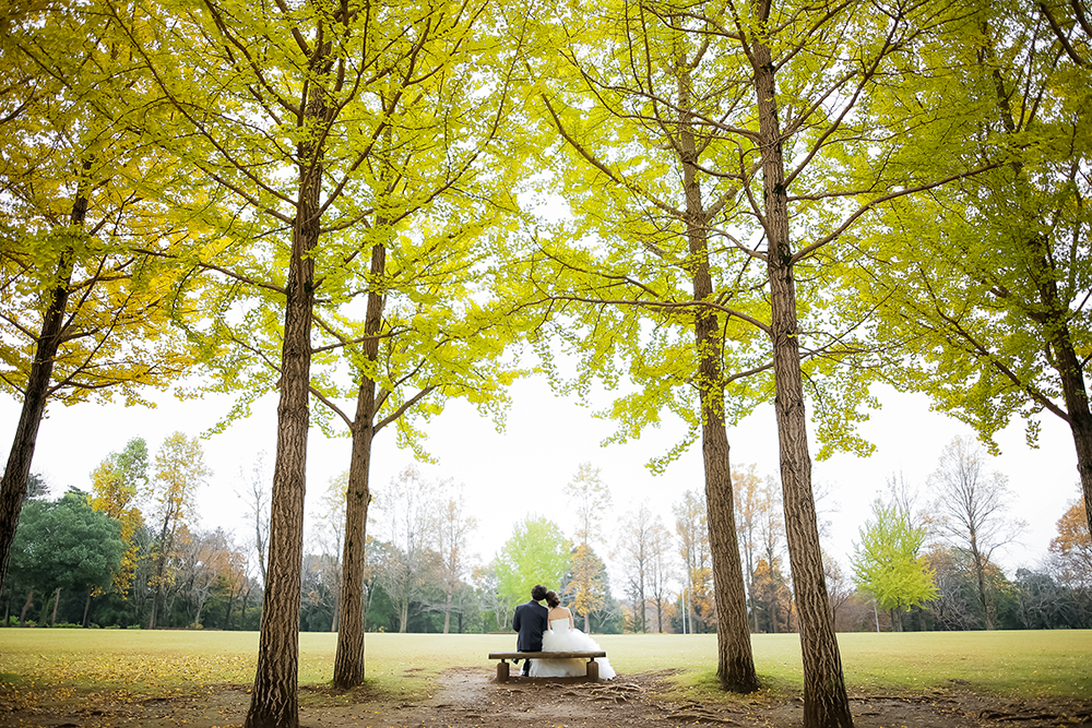 茨城・科学万博記念公園の前撮り/フォトウェディングのロケーション撮影 | 秋に人気の前撮りスポット。
