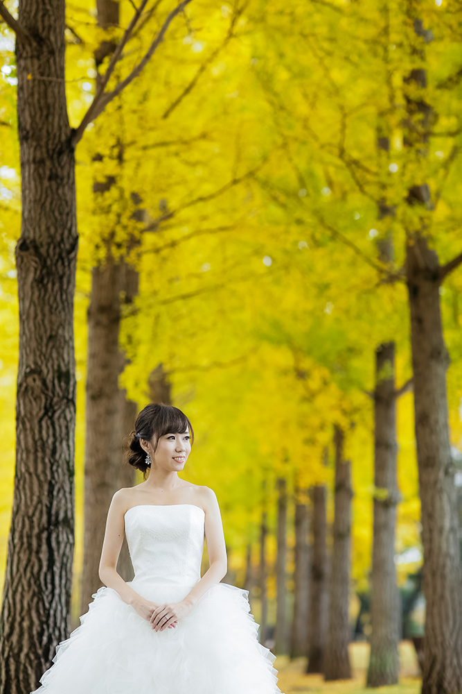 茨城・科学万博記念公園の前撮り/フォトウェディングのロケーション撮影 | 鮮やかな黄色に染まる銀杏をバックに。