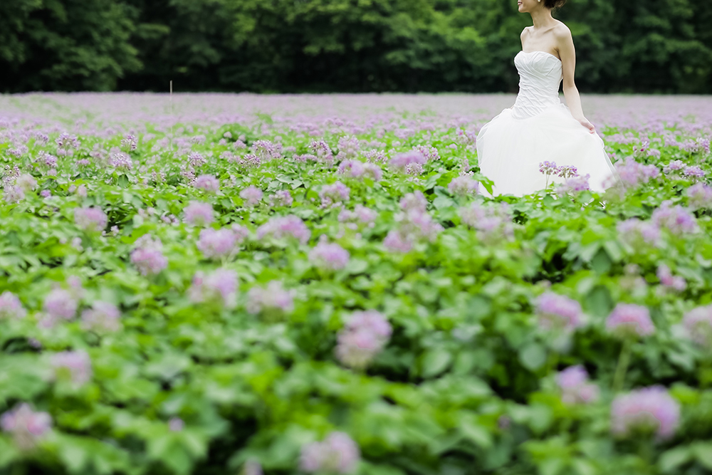 北海道・帯広の前撮り/フォトウェディングのロケーション撮影 | 広がるお花畑の中で。