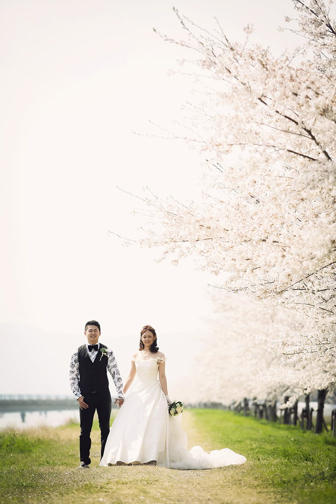 滋賀・土手の前撮り/フォトウェディングのロケーション撮影 | 色鮮やかに咲く桜と一緒に。