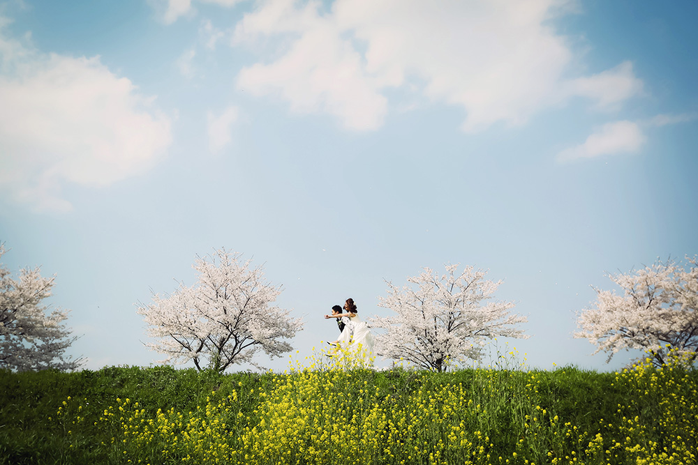 滋賀・土手の前撮り/フォトウェディングのロケーション撮影 | 満開の桜をバックに。