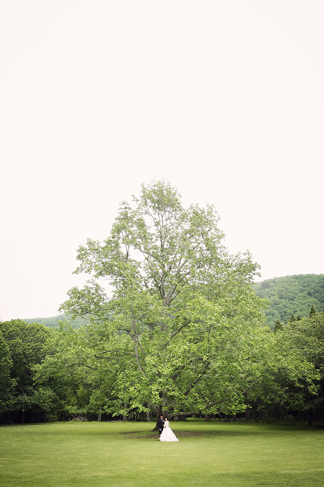 滋賀・くつきの森の前撮り/フォトウェディングのロケーション撮影 | 自然に囲まれた緑たっぷりのロケーション。
