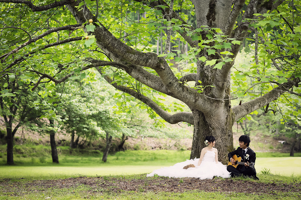 滋賀・くつきの森の前撮り/フォトウェディングのロケーション撮影 | 夏でも涼しい前撮りスポットです。