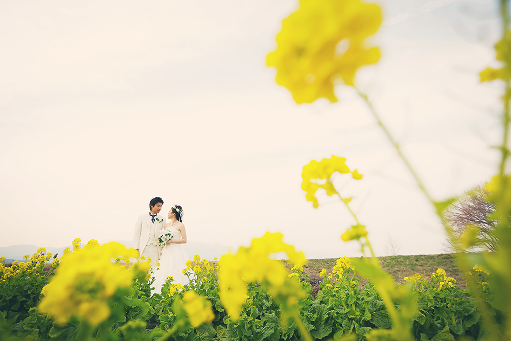 滋賀・第一なぎさ公園の前撮り/フォトウェディングのロケーション撮影 | ウェディングドレスが一段と映える菜の花畑の中で。
