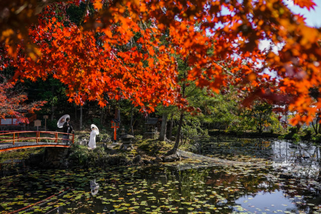 大原野神社（京都）の前撮り/フォトウェディング ロケーション撮影事例