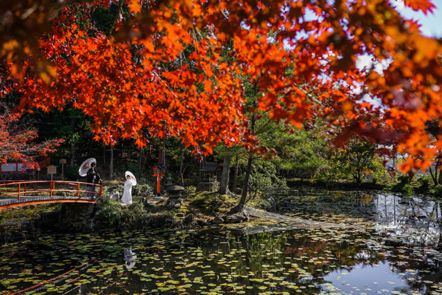 京都・大原野神社・紅葉の前撮り/フォトウェディングのロケーション撮影 | 紅葉とともに広々とした神社のお庭にて。
