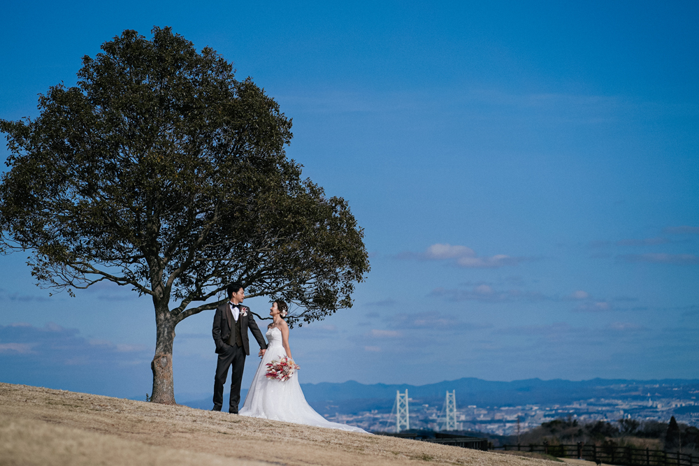 兵庫・花さじきの前撮り/フォトウェディングのロケーション撮影 | 青空と一緒に洋装前撮り。