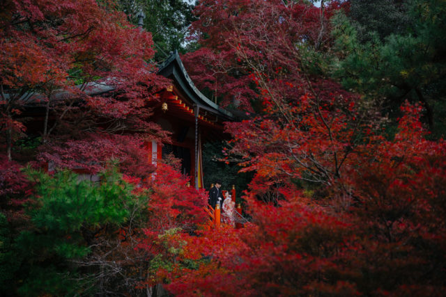 京都・毘沙門堂・お寺・紅葉の前撮り/フォトウェディングのロケーション撮影