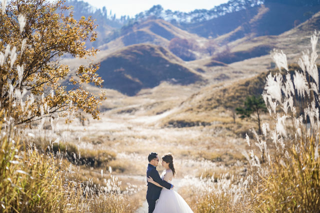 砥峰高原（兵庫）の前撮り/フォトウェディング ロケーション撮影事例