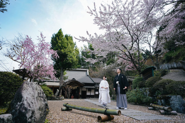 京都・正寿院の前撮り/フォトウェディングのロケーション撮影 | お庭では、四季折々の季節の木々も一緒に。