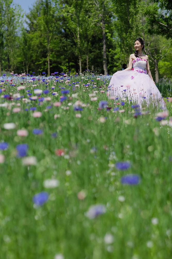 兵庫・明石海峡公園の前撮り/フォトウェディングのロケーション撮影 | お花に囲まれた撮影はウェディングドレスにピッタリ◎
