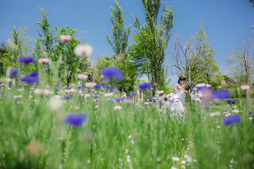 兵庫・明石海峡公園の前撮り/フォトウェディングのロケーション撮影 | 満開のお花畑の中で。