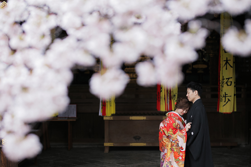 滋賀・天孫神社の前撮り/フォトウェディングのロケーション撮影 | 隠れた桜スポットの神社で。