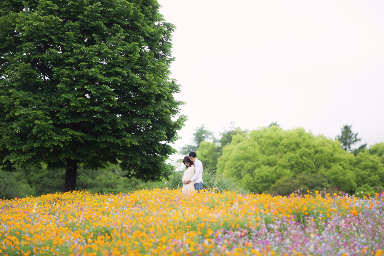 の前撮り/フォトウェディングのロケーション撮影