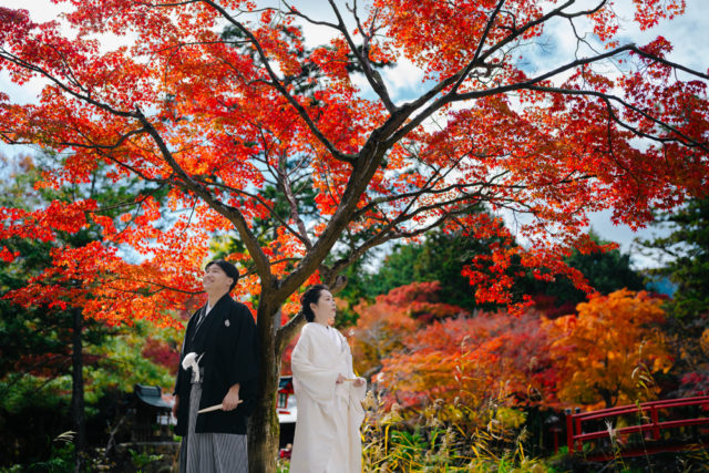 京都・大原野神社・紅葉の前撮り/フォトウェディングのロケーション撮影 | 赤く染まる紅葉とのロケーション撮影は秋の前撮りにも人気