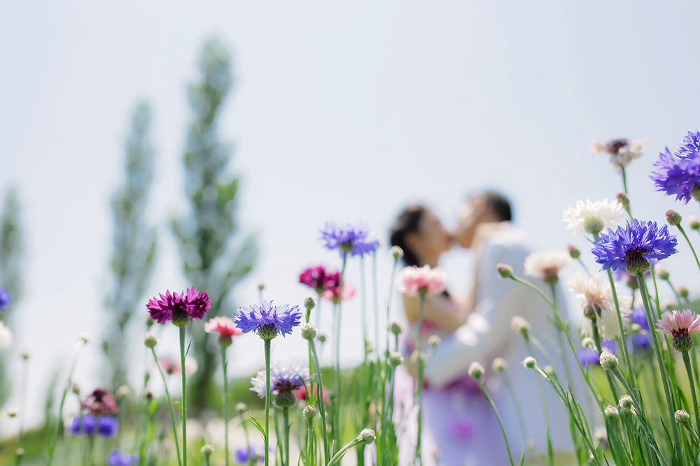 兵庫・明石海峡公園の前撮り/フォトウェディングのロケーション撮影 | たくさんのお花に囲まれて前撮り撮影。