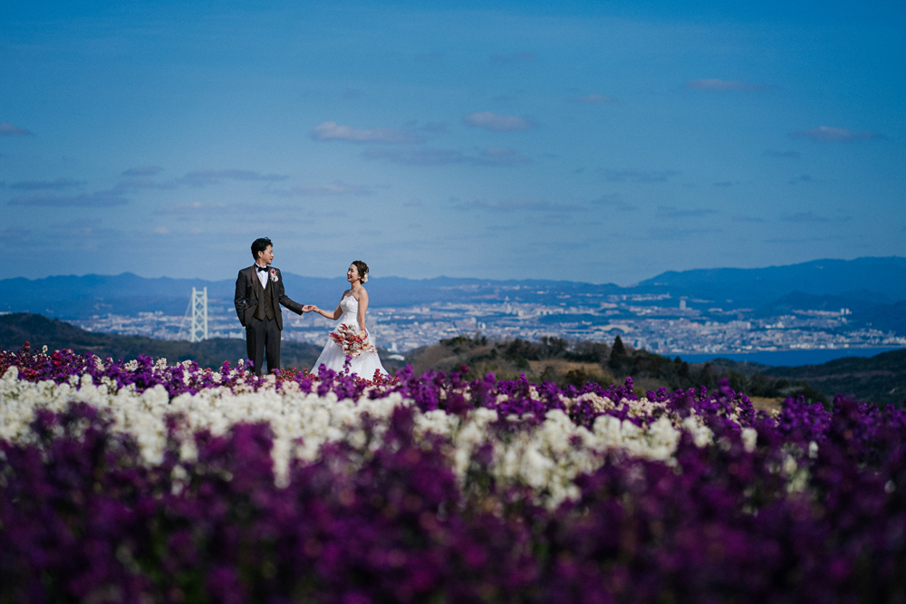 兵庫・花さじきの前撮り/フォトウェディングのロケーション撮影 | 一面のお花畑の中で洋装前撮り。