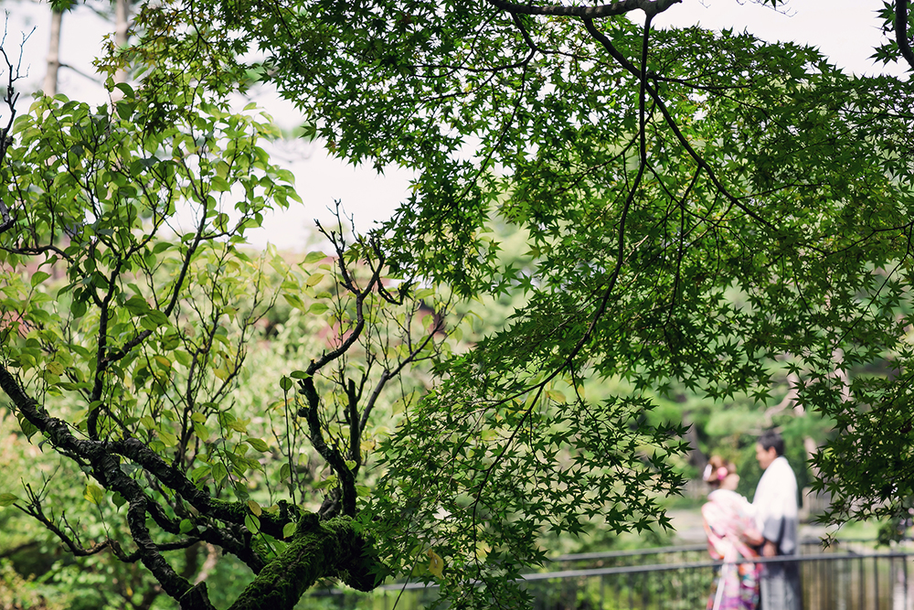 福岡・石橋文化センターの前撮り/フォトウェディングのロケーション撮影 | 広大な日本庭園で２人きりの世界を。