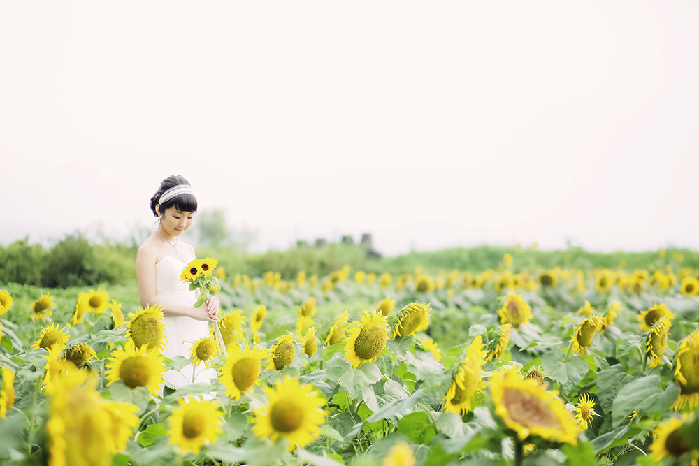 滋賀・第一なぎさ公園の前撮り/フォトウェディングのロケーション撮影 | あたり一面に咲き誇るひまわりと一緒に前撮り撮影。
