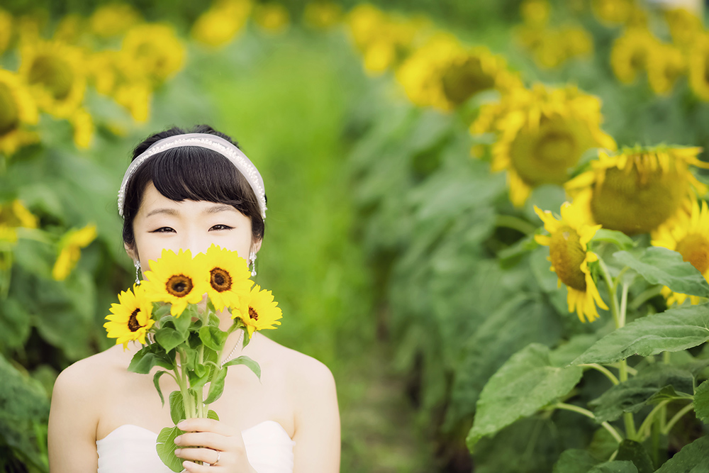 滋賀・第一なぎさ公園の前撮り/フォトウェディングのロケーション撮影 | あたり一面に咲き誇るひまわりと一緒に前撮り撮影。