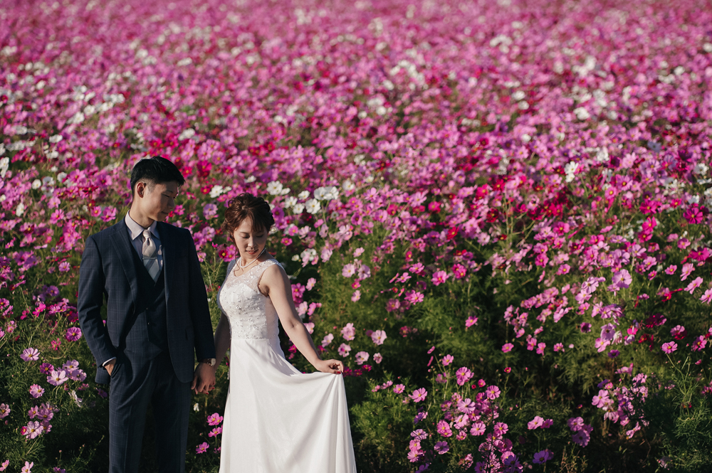 滋賀・コスモス畑の前撮り/フォトウェディングのロケーション撮影 | ピンクのコスモスと一緒に前撮り撮影。