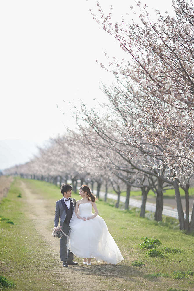 滋賀・土手の前撮り/フォトウェディングのロケーション撮影 | どこまでも続く桜並木をバックに。