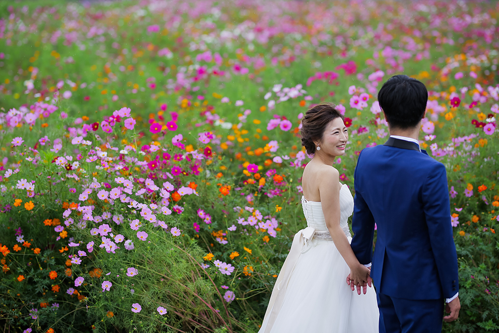 滋賀・コスモス畑の前撮り/フォトウェディングのロケーション撮影 | ピンクや紫の色とりどりのコスモスをバックに。

