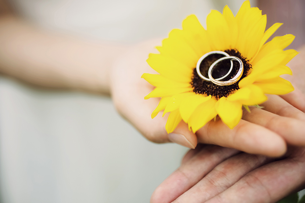 滋賀・第一なぎさ公園の前撮り/フォトウェディングのロケーション撮影 | 黄色に溢れた向日葵と一緒に指輪のショット。