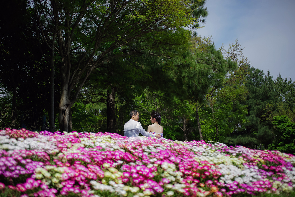 兵庫・明石海峡公園の前撮り/フォトウェディングのロケーション撮影 | 青空とお花畑いっぱいの前撮りショット。