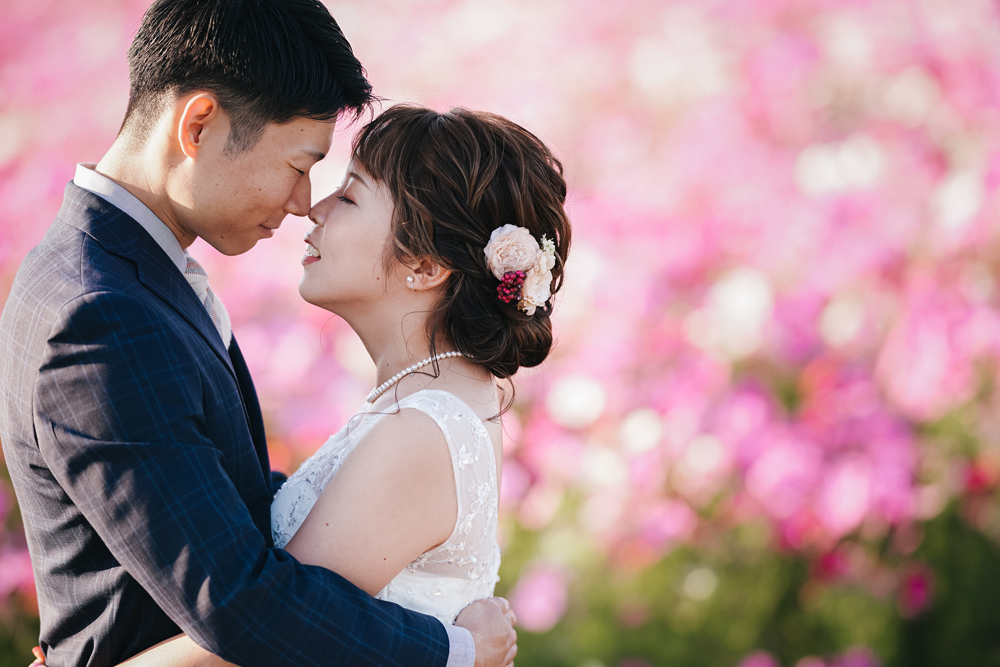 滋賀・コスモス畑の前撮り/フォトウェディングのロケーション撮影 | コスモスの可愛いピンクをバックに。