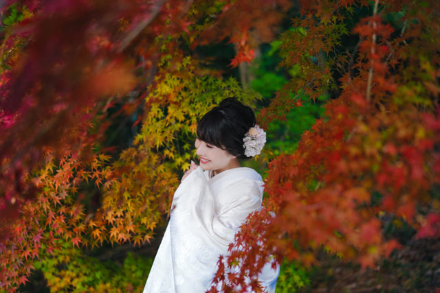 京都・大原野神社・紅葉の前撮り/フォトウェディングのロケーション撮影 | 黄色や赤に染まった紅葉と一緒に。
