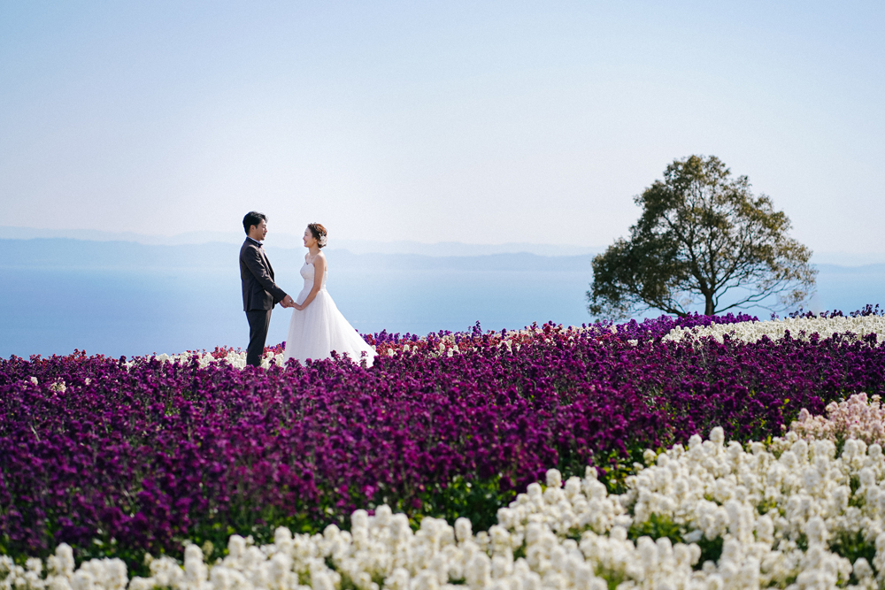 兵庫・花さじきの前撮り/フォトウェディングのロケーション撮影 | ウェディングドレスが映えるロケーションスポット。