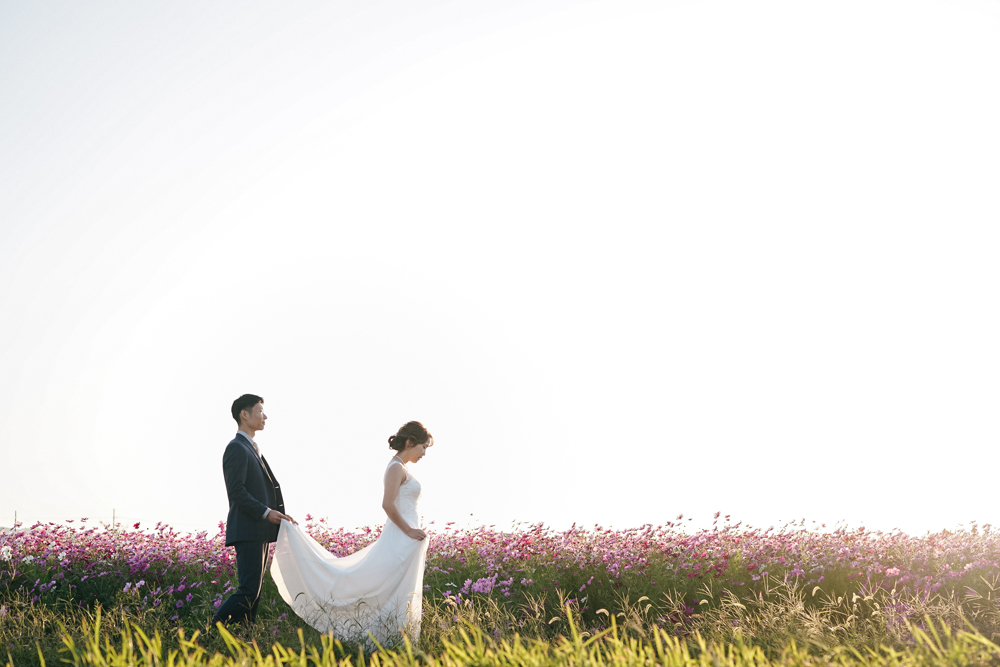 滋賀・コスモス畑の前撮り/フォトウェディングのロケーション撮影 | 夕日時のコスモスと一緒に。