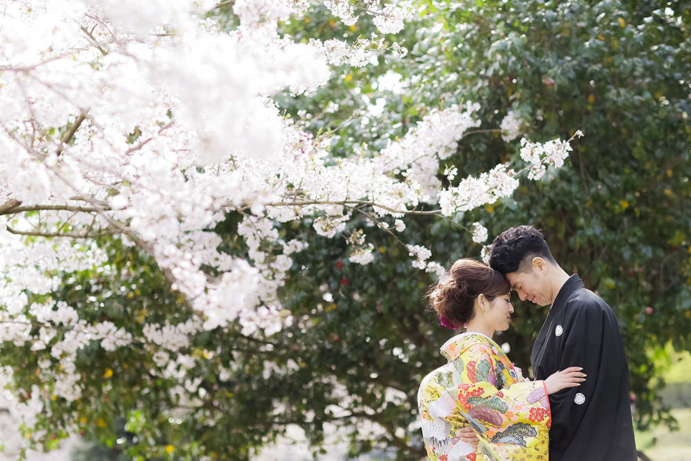 滋賀・安土城跡の前撮り/フォトウェディングのロケーション撮影 | 和装にピッタリな桜のロケーションにて。