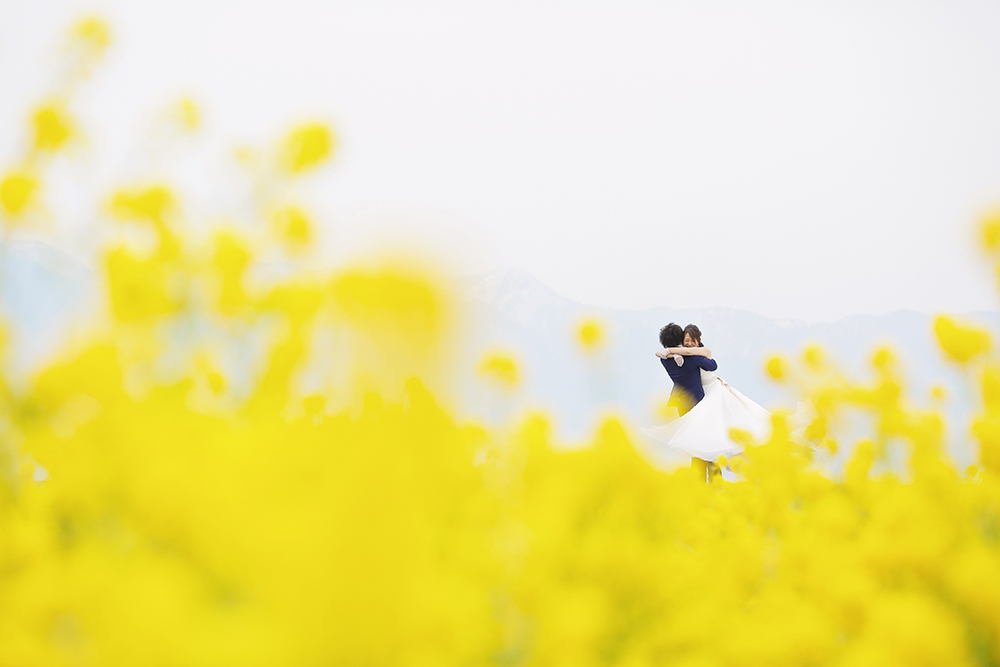 滋賀・第一なぎさ公園の前撮り/フォトウェディングのロケーション撮影 | あたり一面を覆う鮮やかな黄色の菜の花と一緒に。