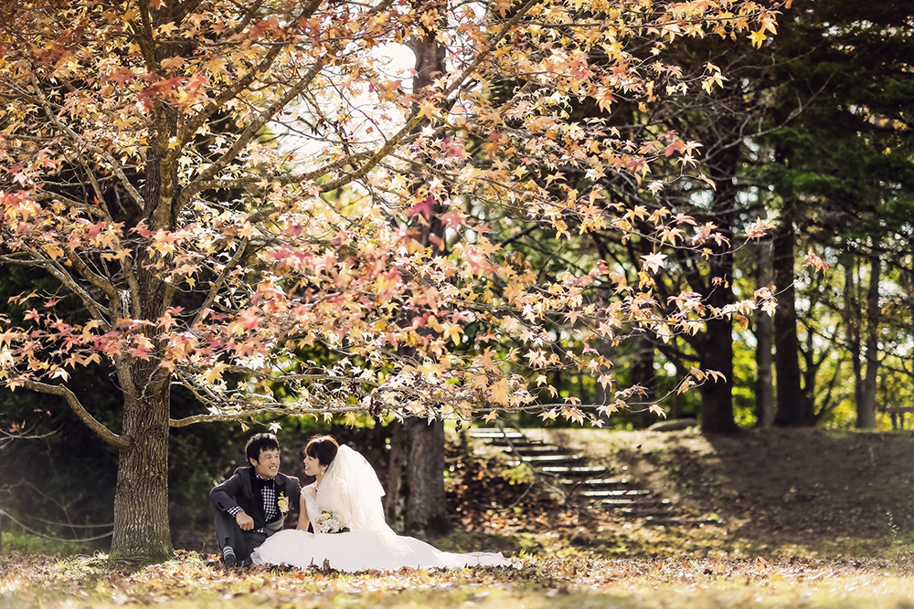兵庫・神戸森林植物園の前撮り/フォトウェディングのロケーション撮影 | 秋色の紅葉した自然と一緒に。