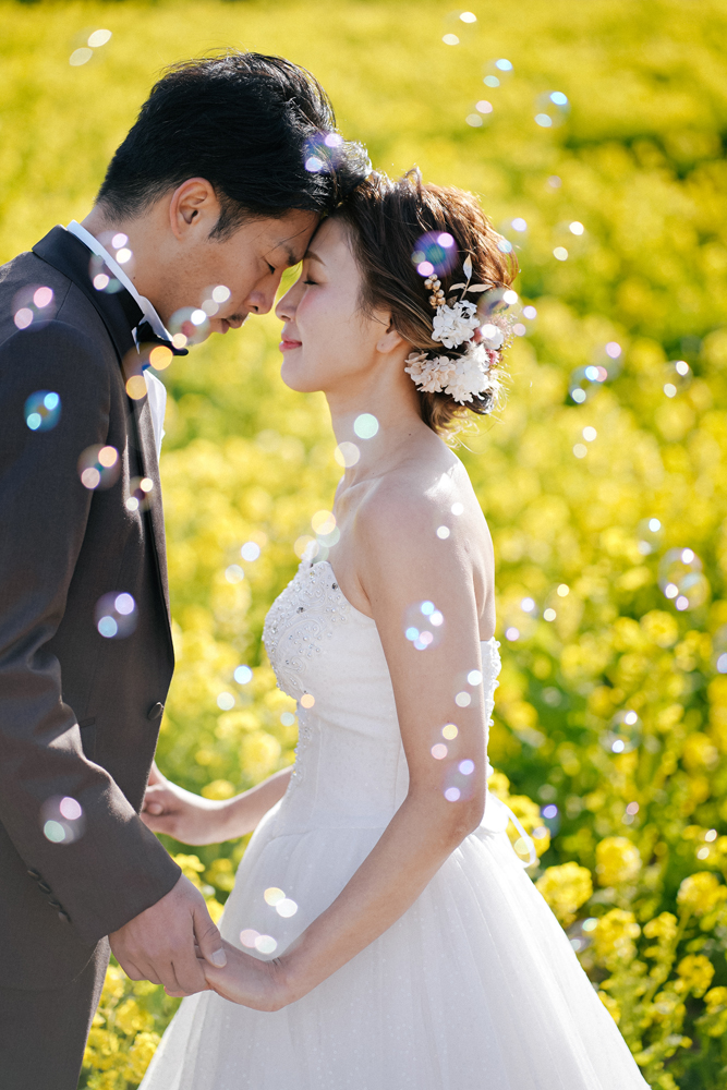 兵庫・花さじきの前撮り/フォトウェディングのロケーション撮影 | ウェディングドレスとお花畑の組み合わせ◎