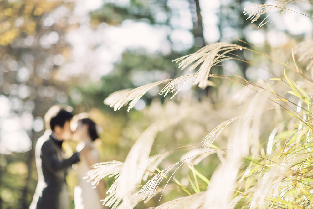 兵庫・神戸森林植物園の前撮り/フォトウェディングのロケーション撮影 | 自然に囲まれながら２人だけの世界を演出。