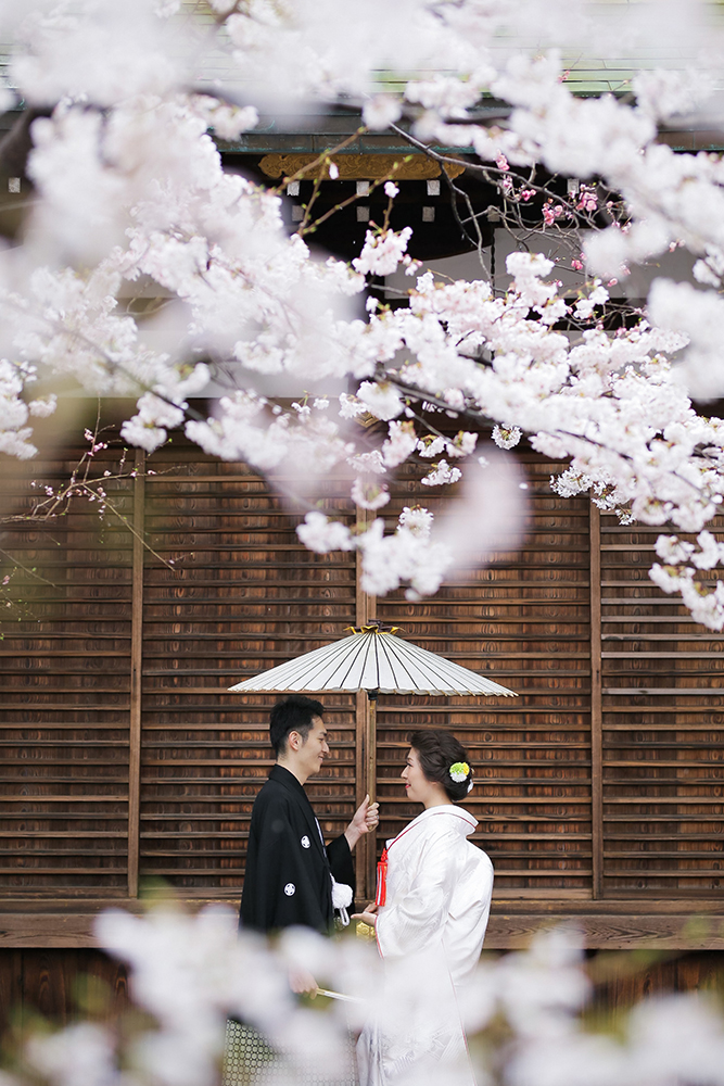 滋賀・天孫神社の前撮り/フォトウェディングのロケーション撮影 | 桜が似合う神社の建物も一緒に。