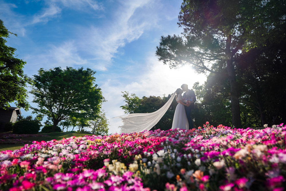 兵庫・明石海峡公園の前撮り/フォトウェディングのロケーション撮影 | 満開のお花畑の中で。