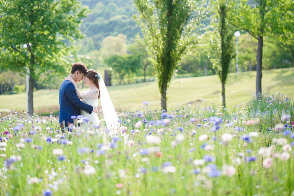 兵庫・明石海峡公園の前撮り/フォトウェディングのロケーション撮影 | たくさんのお花に囲まれて前撮り撮影。