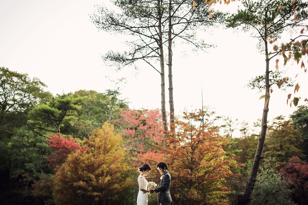 兵庫・神戸森林植物園の前撮り/フォトウェディングのロケーション撮影 | たくさんの秋色の染まった木々に囲まれた前撮りスポットにて。