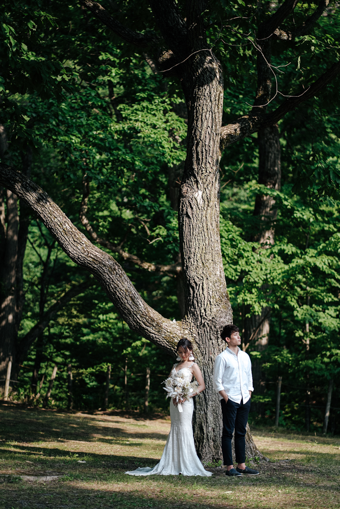北海道・鳥沼公園の前撮り/フォトウェディングのロケーション撮影 | 新緑深まる夏の北海道でドレス前撮り。