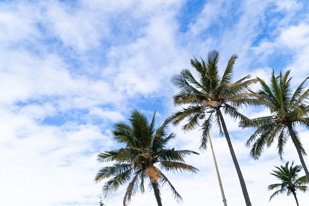 結婚式・披露宴の撮影 - CASE5