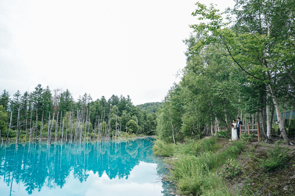 北海道・青い池の前撮り/フォトウェディングのロケーション撮影 | 青い池と緑の景色と一緒に。
