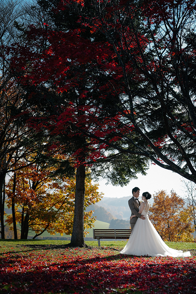 北海道・秋の前撮り/フォトウェディングのロケーション撮影 | 秋色に囲まれて。